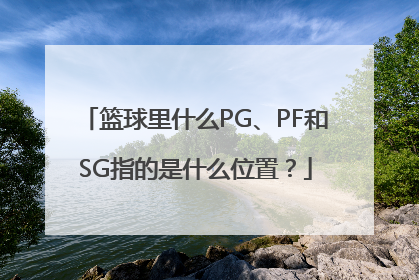 篮球里什么PG、PF和SG指的是什么位置？