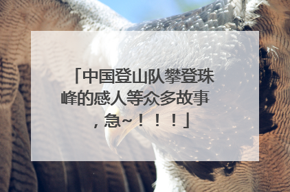中国登山队攀登珠峰的感人等众多故事，急~！！！