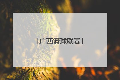 「广西篮球联赛」广西篮球联赛玉林队员名单