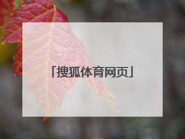 「搜狐体育网页」手机搜狐体育首页