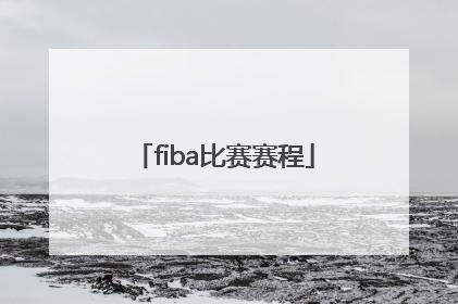 「fiba比赛赛程」FIBA比赛用球