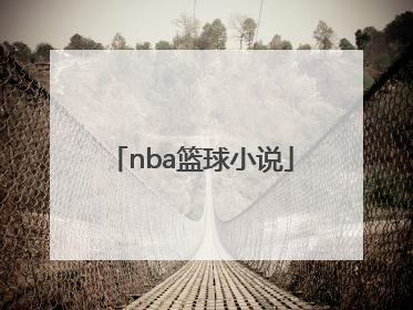 「nba篮球小说」NBA篮球小说,和艾弗森在一个队的